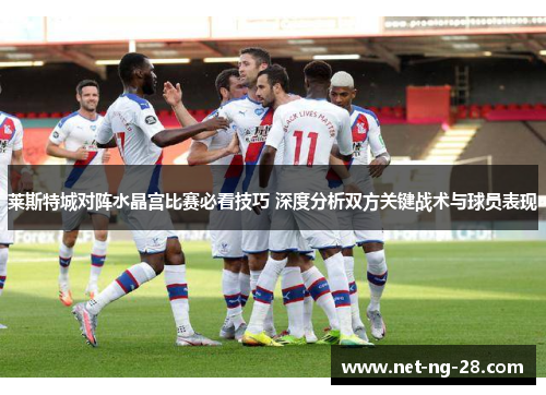 莱斯特城对阵水晶宫比赛必看技巧 深度分析双方关键战术与球员表现