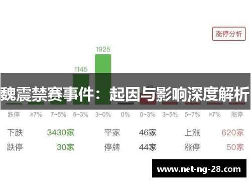 魏震禁赛事件：起因与影响深度解析