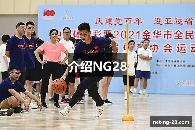 介绍NG28